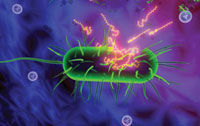 Antimicrobial